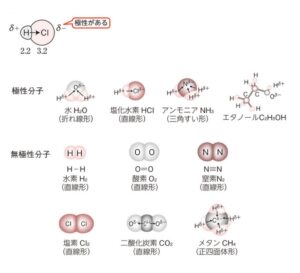 無極性分子と極性分子の具体例